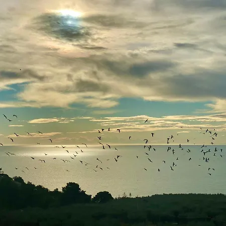 Mattinatella アパートホテル マッティナータ