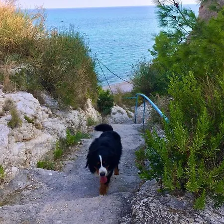 アパートホテル Mattinatella 3*