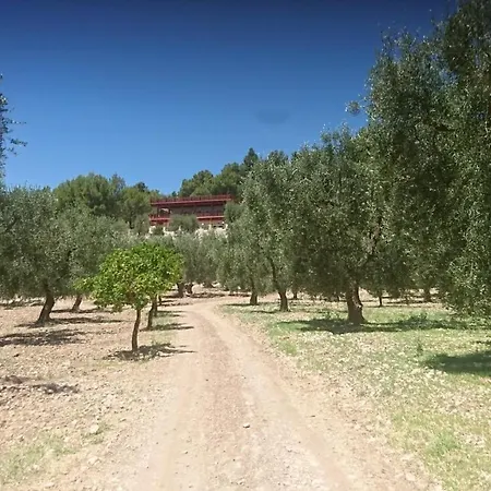 Mattinatella マッティナータ