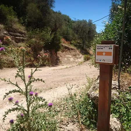 アパートホテル Mattinatella